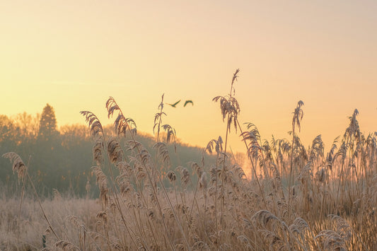 Skydiamond Recognised Among the Top 100 Sustainable Companies of 2026